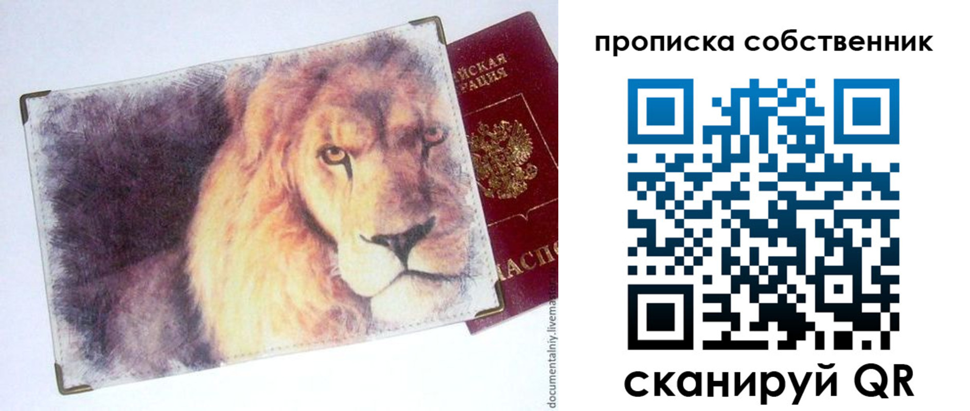 временная прописка в Куртамыше